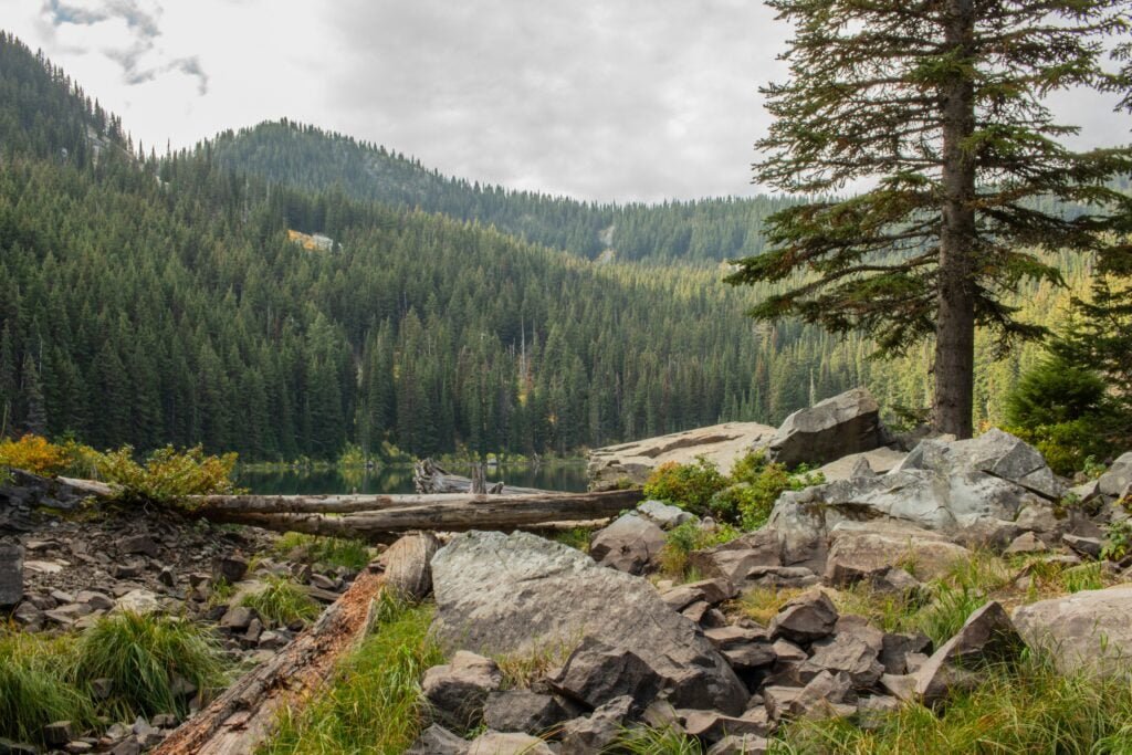 Idaho's Pristine Wilderness.