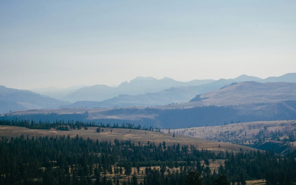 Yellowstone's untamed wilderness: where mountains fade into the horizon.