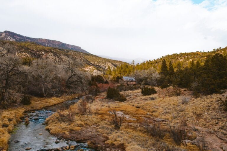 A Tranquil Escape: Nature's Beauty in New Mexico